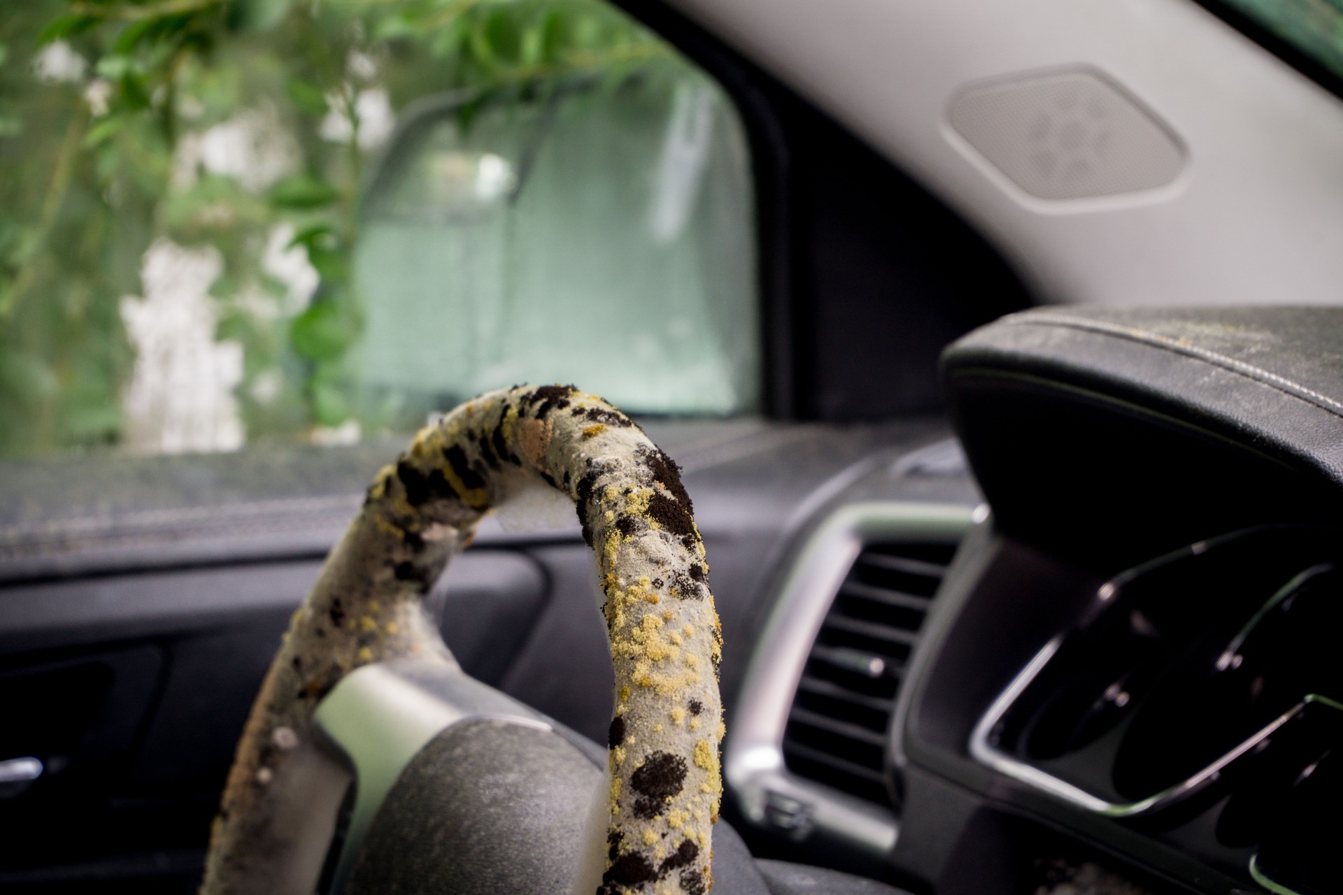Mold growing inside a flooded car